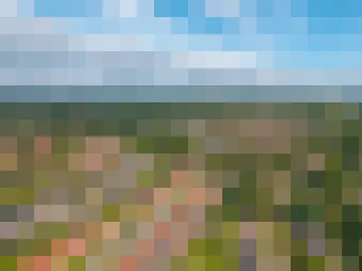 Blekenweg 116 Haren Gn thumbnail 64