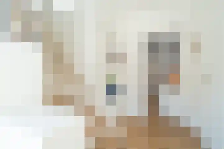 Blekenweg 2 Haren Gn thumbnail 12