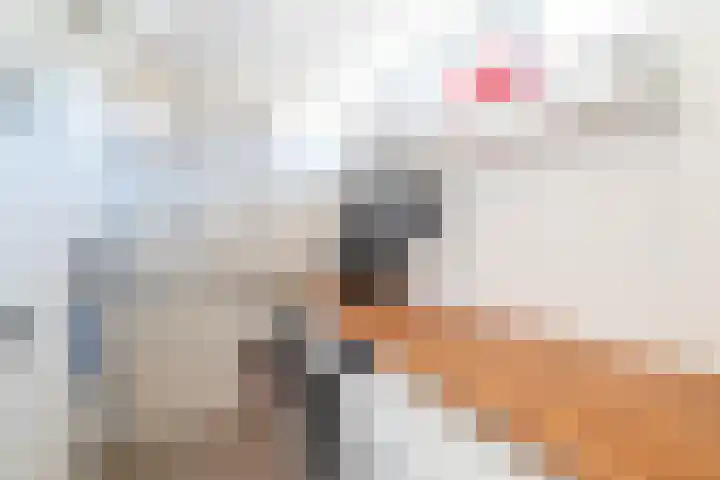 Blekenweg 2 Haren Gn thumbnail 31