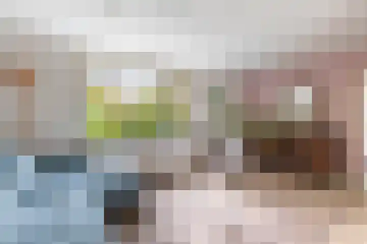 Blekenweg 34 Haren Gn thumbnail 10