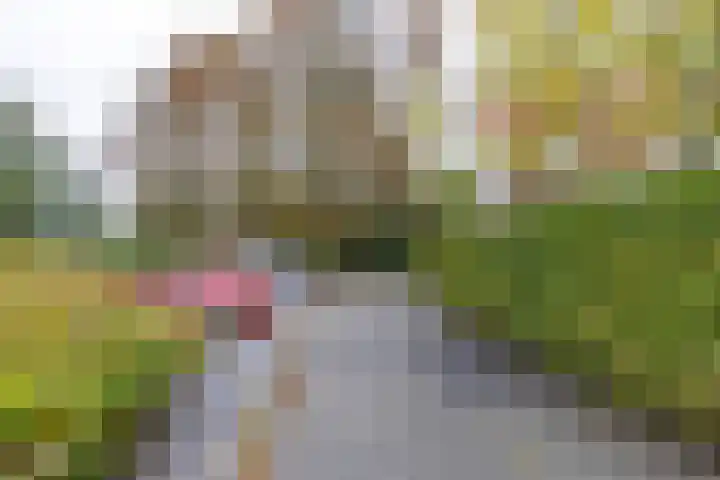 Blekenweg 34 Haren Gn thumbnail 4
