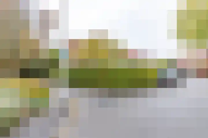 Blekenweg 34 Haren Gn thumbnail 42