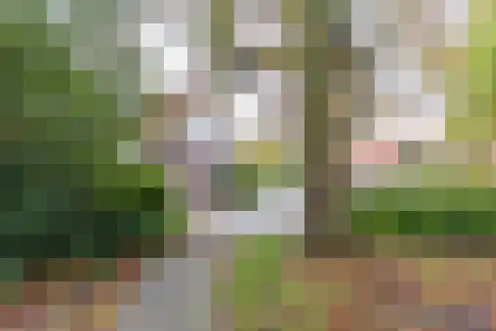 Blekenweg 34 Haren Gn thumbnail 43