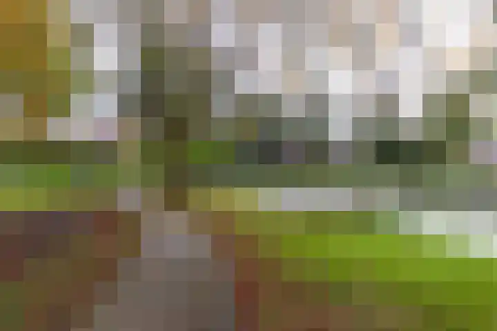 Blekenweg 34 Haren Gn thumbnail 44