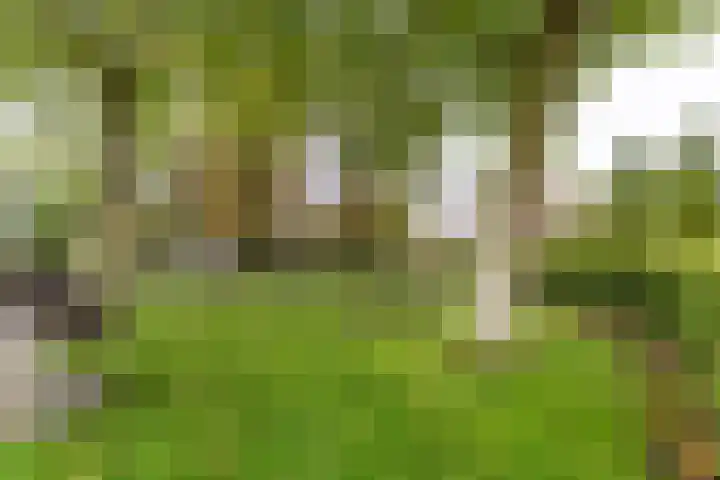 Blekenweg 34 Haren Gn thumbnail 46