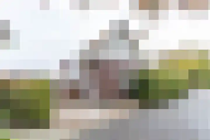Blekenweg 34 Haren Gn thumbnail 5