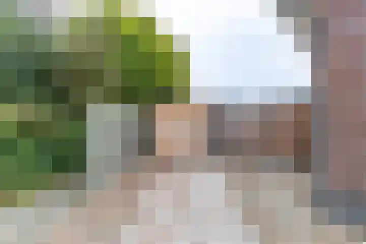 Blekenweg 34 Haren Gn thumbnail 6