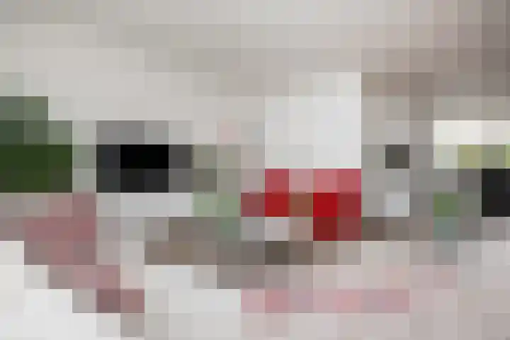 Bleker 43 Nieuw-Vennep thumbnail 11