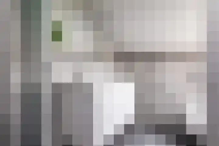 Bleker 43 Nieuw-Vennep thumbnail 30