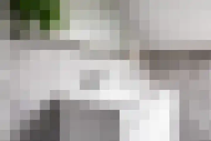 Bleker 43 Nieuw-Vennep thumbnail 32