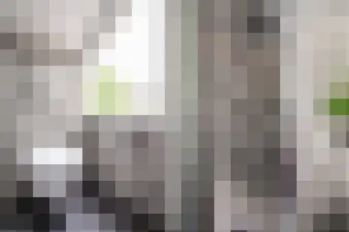 Bleker 43 Nieuw-Vennep thumbnail 33