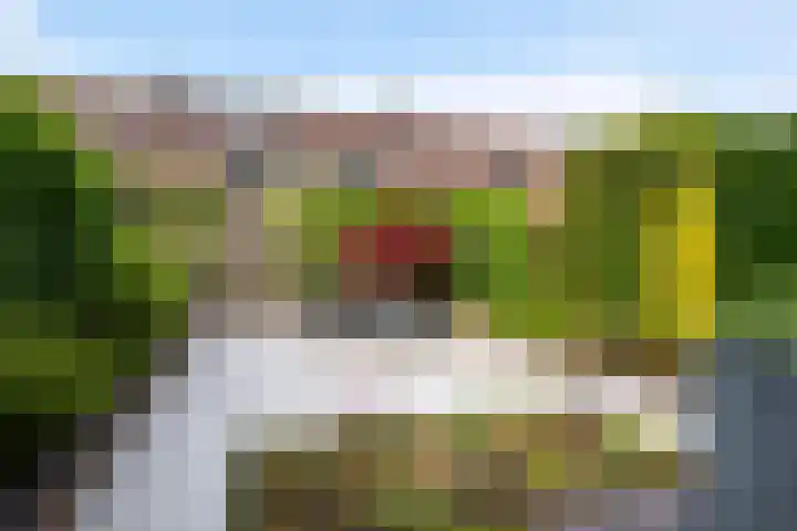 Bleker 43 Nieuw-Vennep thumbnail 41