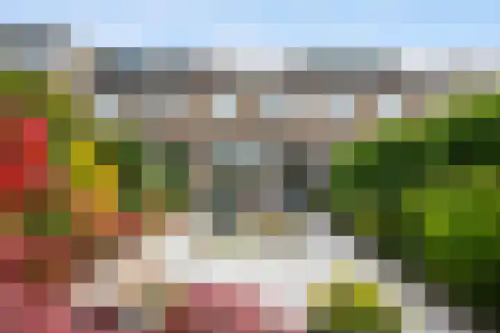 Bleker 43 Nieuw-Vennep thumbnail 42
