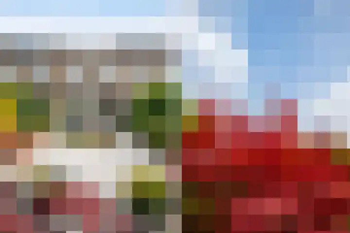 Bleker 43 Nieuw-Vennep thumbnail 43