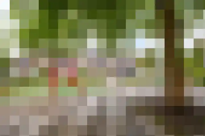 Bleker 43 Nieuw-Vennep thumbnail 44