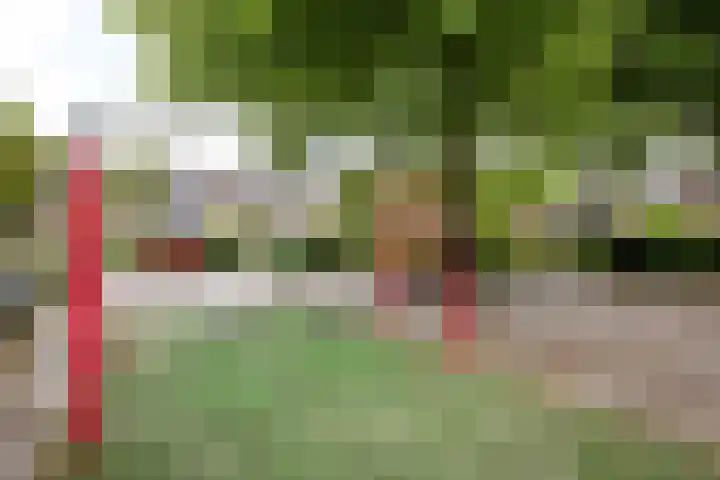 Bleker 43 Nieuw-Vennep thumbnail 6