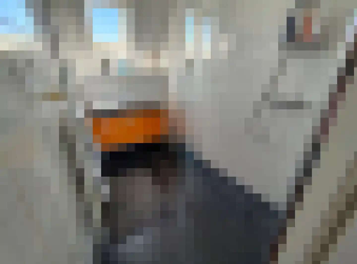 Blekerhof 18 Delft thumbnail 11