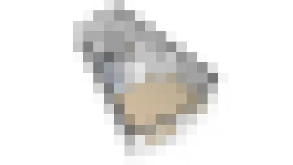 Blekerhof 18 Delft thumbnail 20