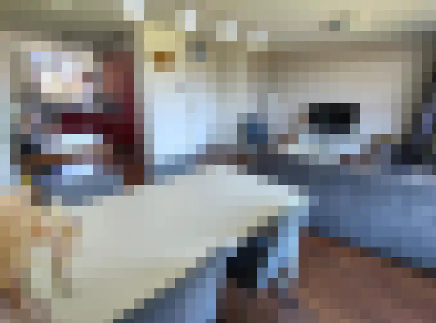 Blekerhof 18 Delft thumbnail 4