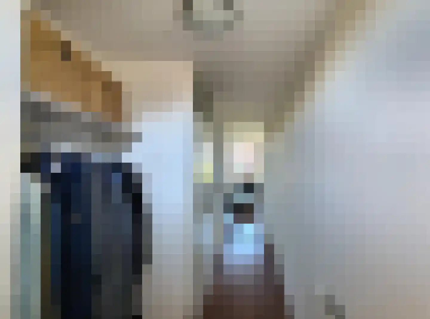 Blekerhof 18 Delft thumbnail 8