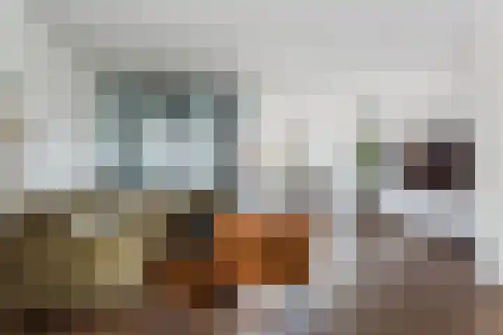 Blekerhof 26 Delft thumbnail 11