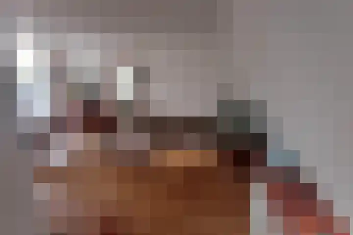 Blekerhof 26 Delft thumbnail 8