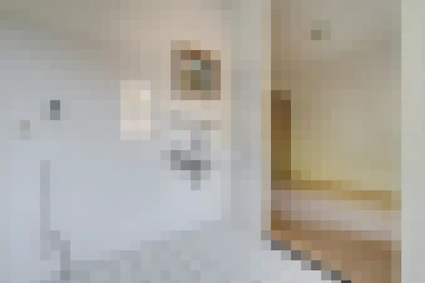 Blekerij 1 A Veenendaal thumbnail 30