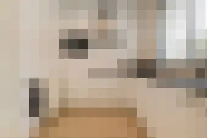 Blekerij 1 B Veenendaal thumbnail 11