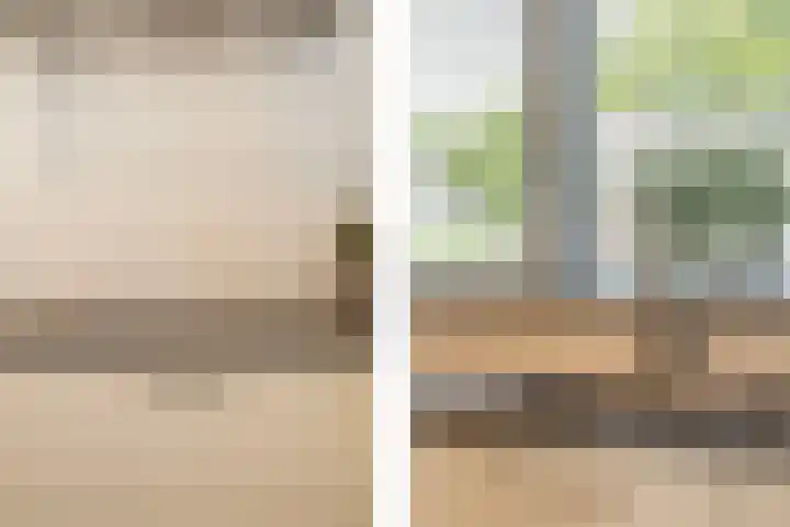 Blekerij 1 B Veenendaal thumbnail 12