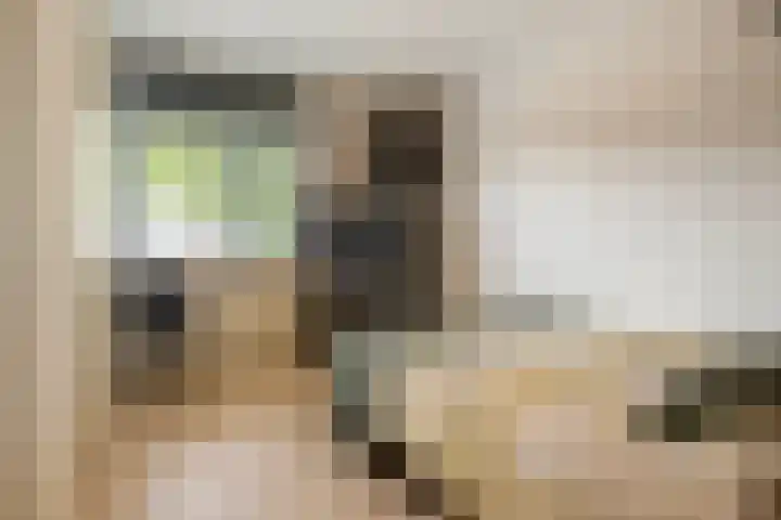 Blekerij 1 B Veenendaal thumbnail 16