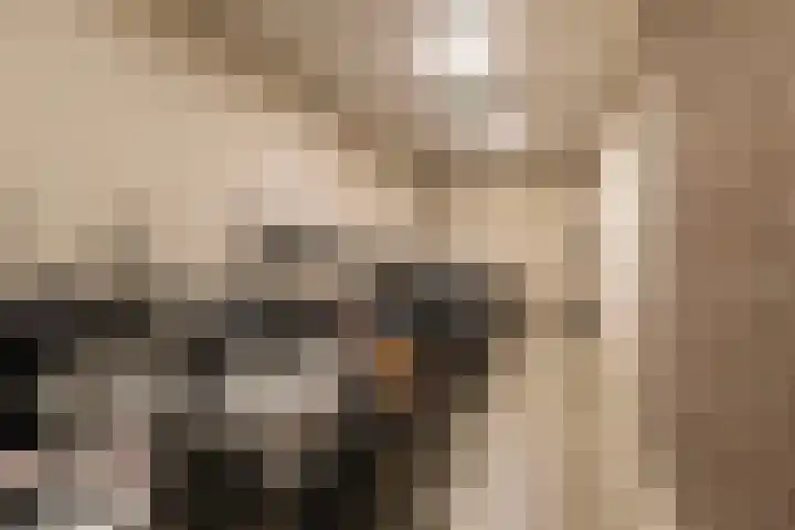 Blekerij 1 B Veenendaal thumbnail 22