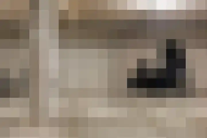Blekerij 1 B Veenendaal thumbnail 23