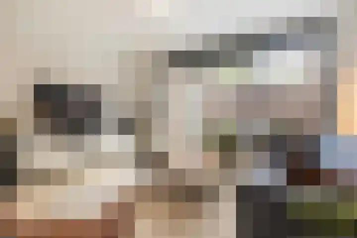 Blekerij 1 B Veenendaal thumbnail 6