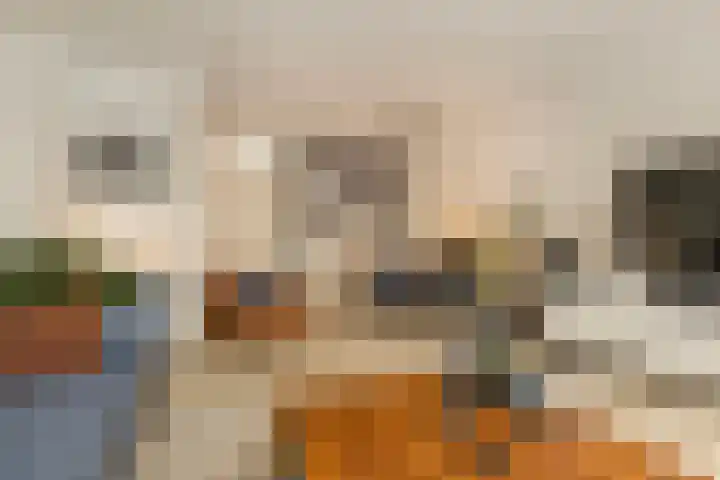 Blekerij 1 B Veenendaal thumbnail 9