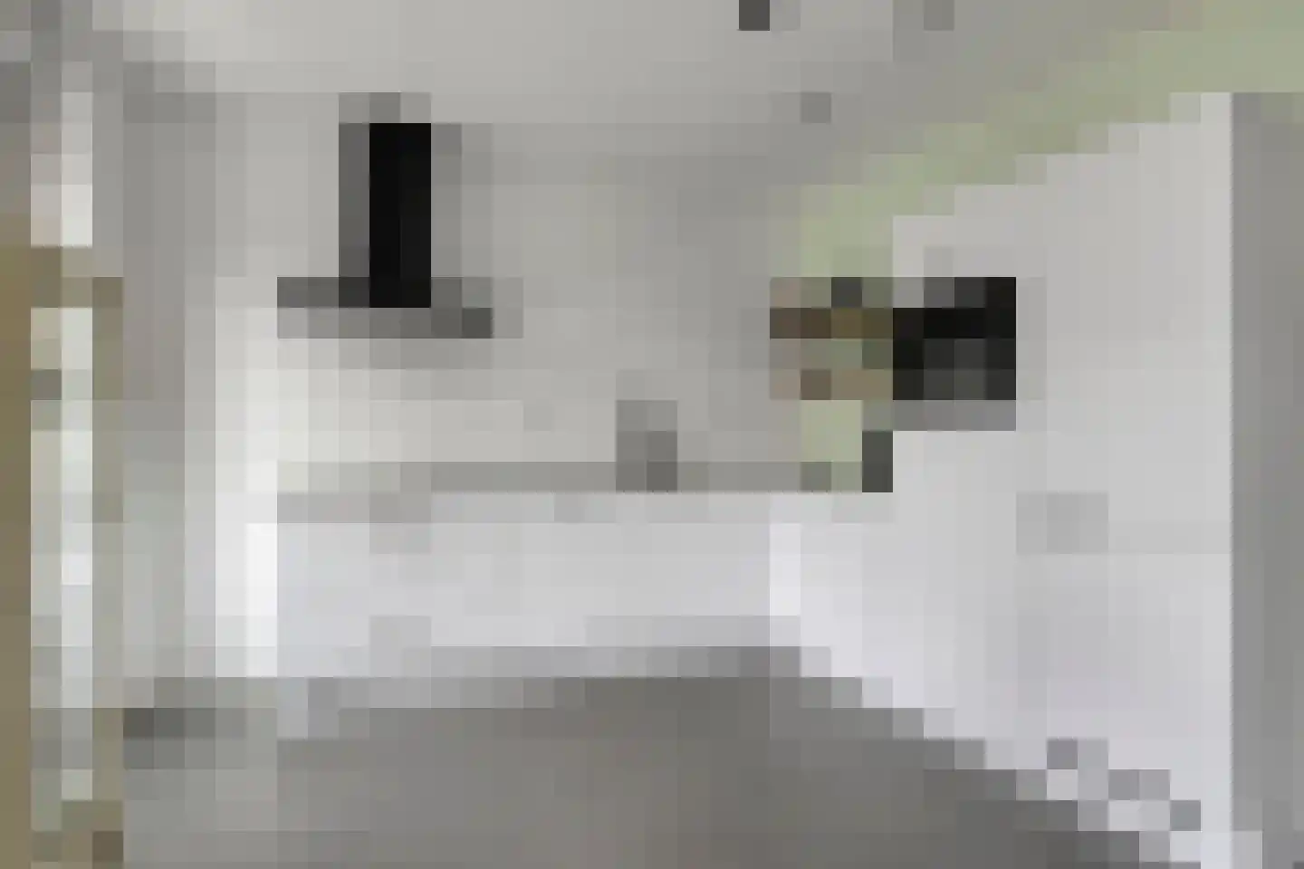 Blekerij 12 Eibergen thumbnail 16