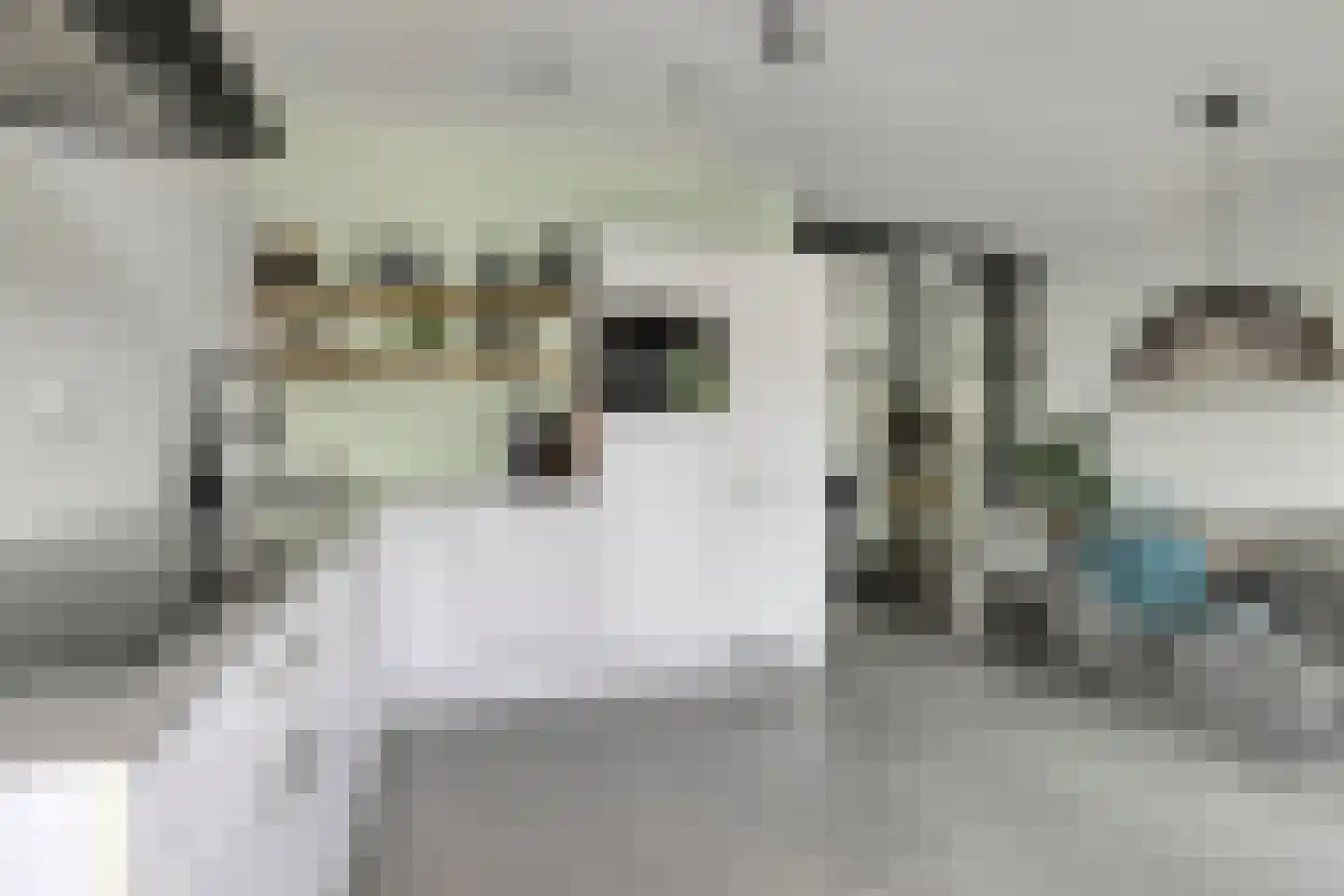 Blekerij 12 Eibergen thumbnail 17