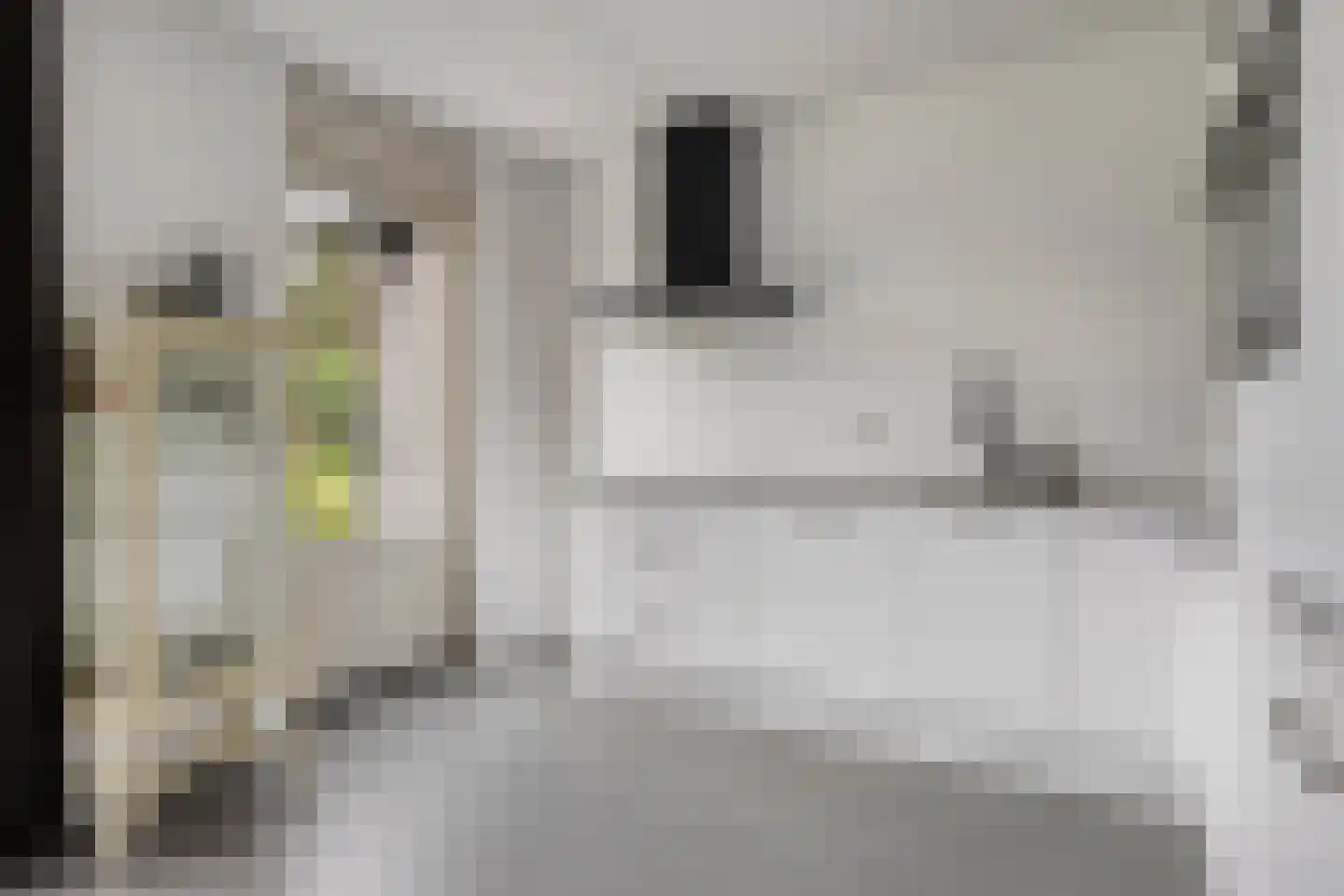 Blekerij 12 Eibergen thumbnail 19