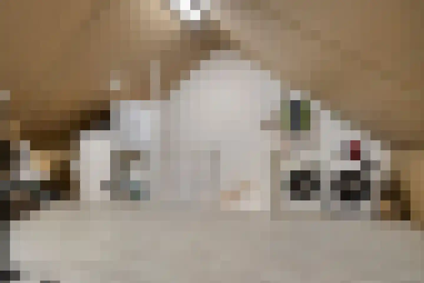 Blekerij 12 Eibergen thumbnail 28