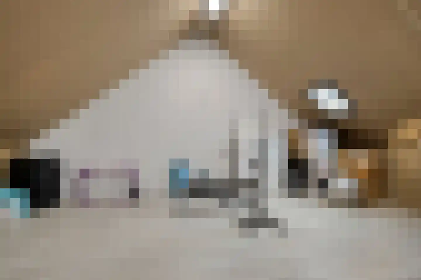 Blekerij 12 Eibergen thumbnail 29