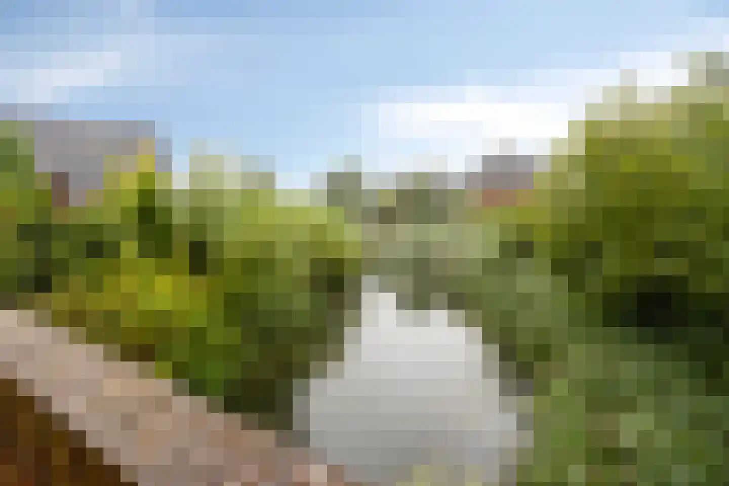 Blekerij 12 Eibergen thumbnail 38