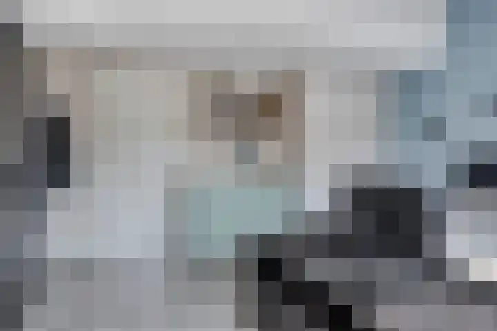 Blekerij 13 Bergen op Zoom thumbnail 13