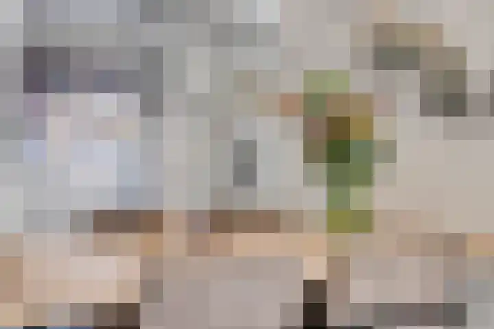 Blekerij 13 Bergen op Zoom thumbnail 8