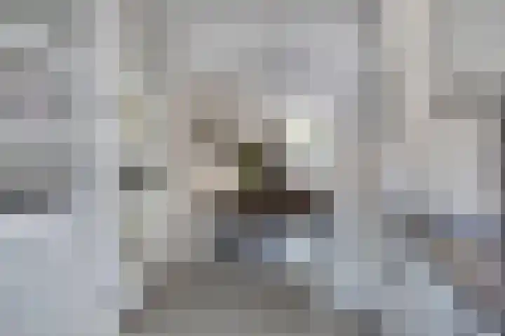 Blekerij 13 Bergen op Zoom thumbnail 9