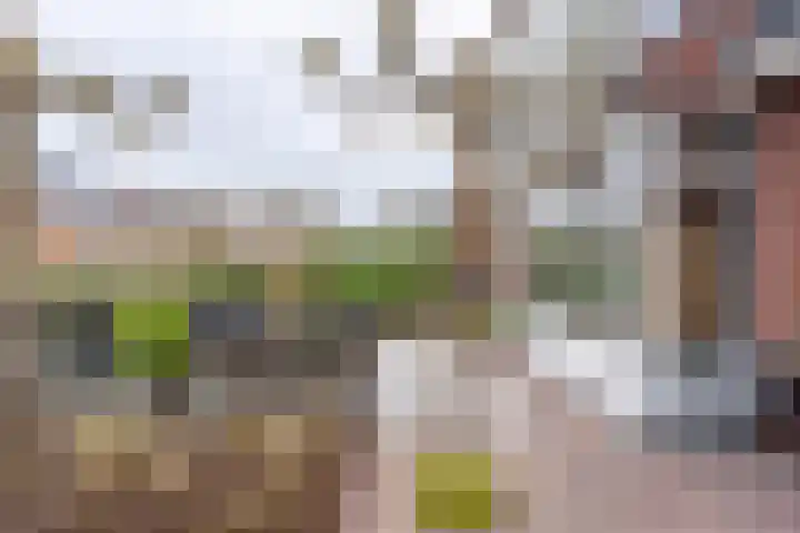 Blekerij 29 Katwijk thumbnail 47