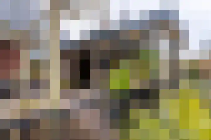 Blekerij 29 Katwijk thumbnail 51
