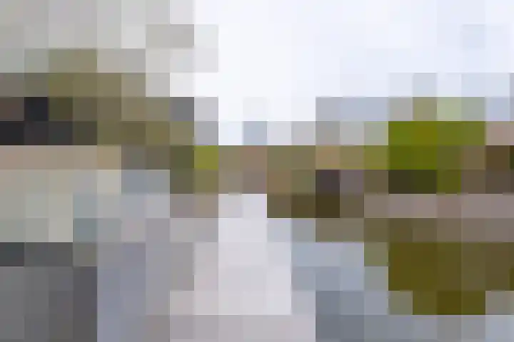 Blekerij 29 Katwijk thumbnail 52