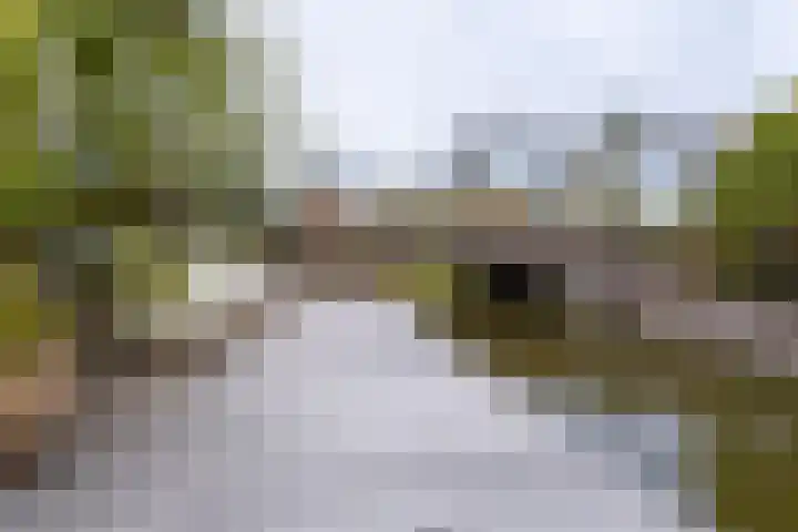 Blekerij 29 Katwijk thumbnail 53