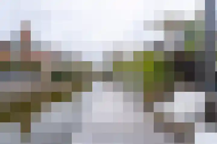 Blekerij 29 Katwijk thumbnail 54