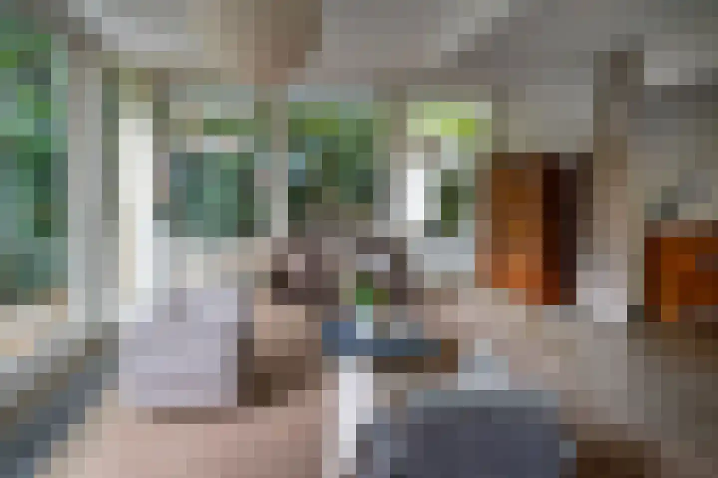 Blekerij 50 Maastricht thumbnail 6