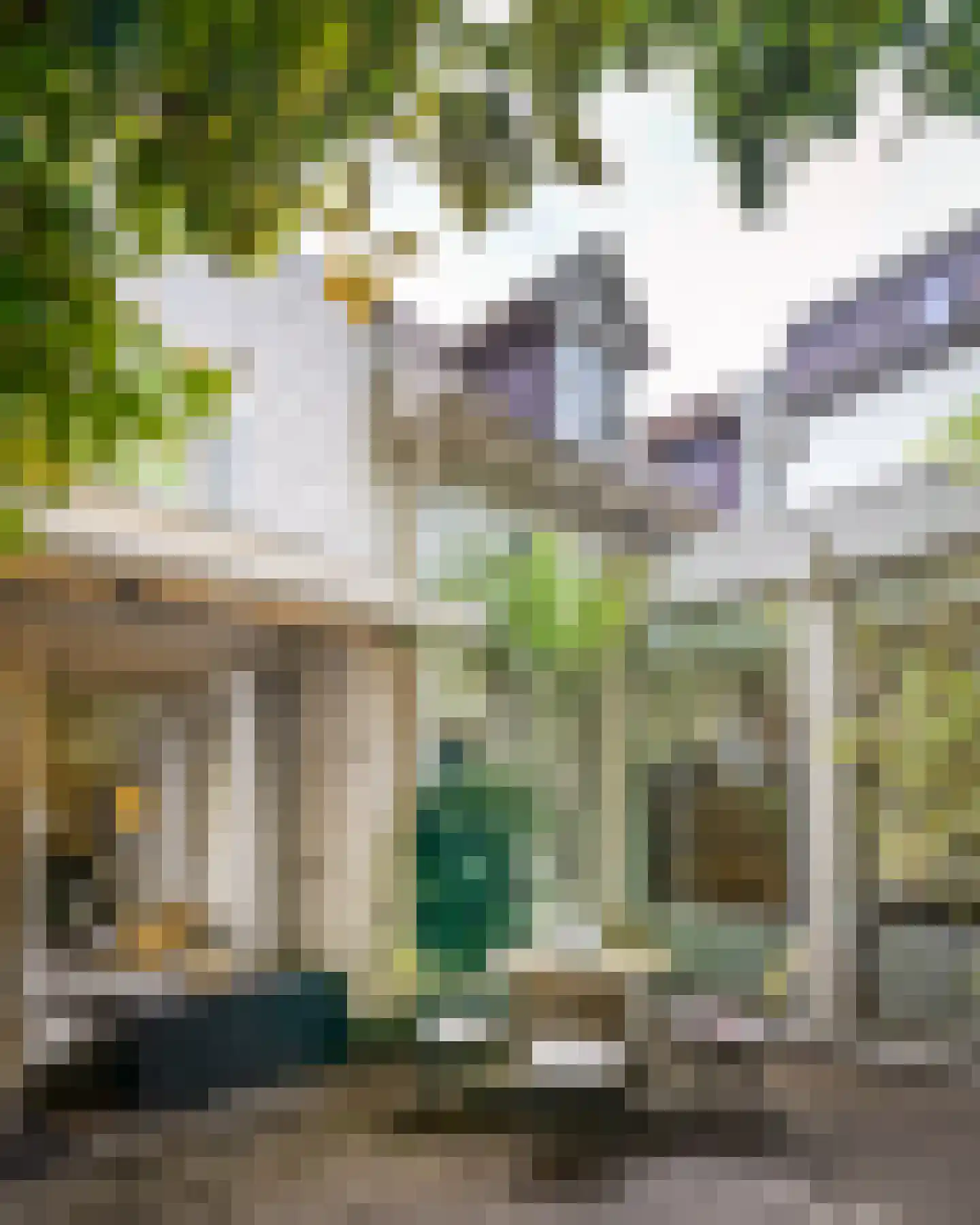 Blekerij 50 Maastricht thumbnail 6